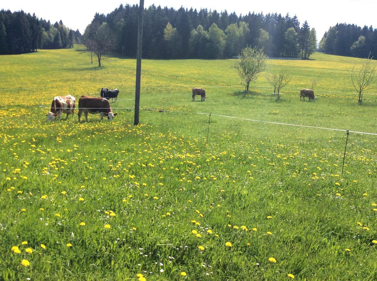 Ferienbauernhof Koller Villa Helfenberg ภายนอก รูปภาพ