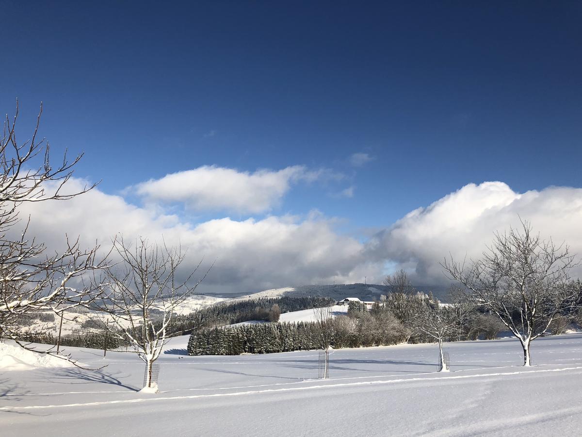 Ferienbauernhof Koller Villa Helfenberg ภายนอก รูปภาพ