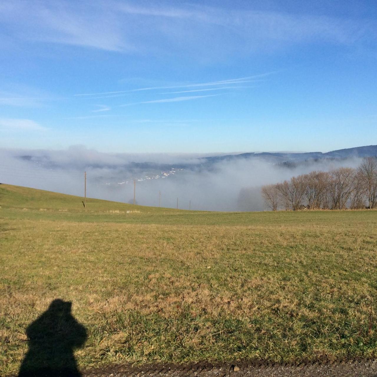 Ferienbauernhof Koller Villa Helfenberg ภายนอก รูปภาพ