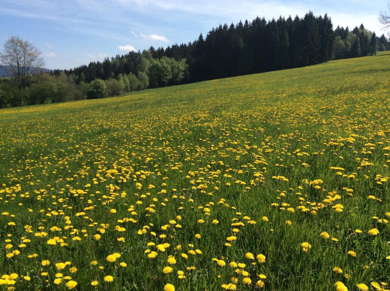Ferienbauernhof Koller Villa Helfenberg ภายนอก รูปภาพ