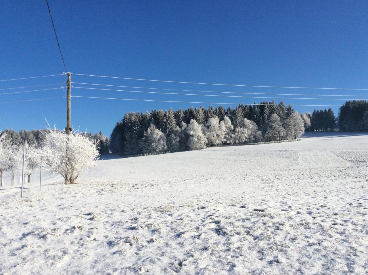 Ferienbauernhof Koller Villa Helfenberg ภายนอก รูปภาพ