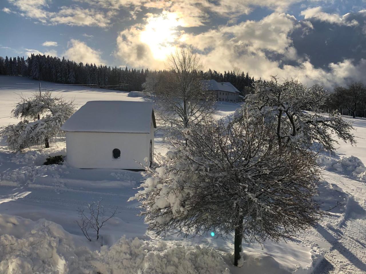 Ferienbauernhof Koller Villa Helfenberg ภายนอก รูปภาพ